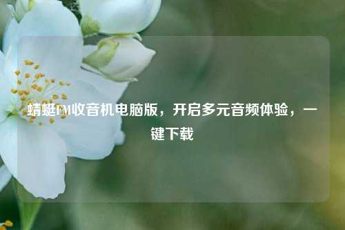 蜻蜓FM收音机电脑版，开启多元音频体验，一键下载