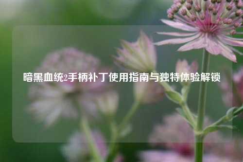暗黑血统2手柄补丁使用指南与独特体验解锁