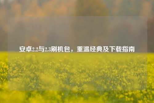 安卓2.2与2.3刷机包，重温经典及下载指南