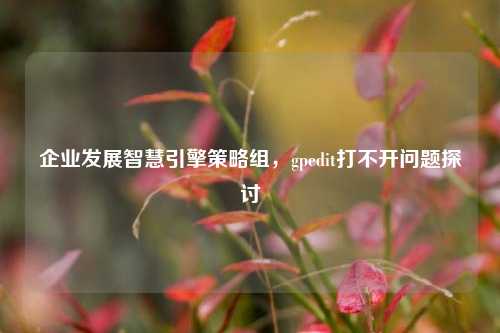 企业发展智慧引擎策略组，gpedit打不开问题探讨