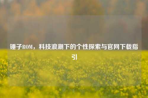 锤子ROM，科技浪潮下的个性探索与官网下载指引