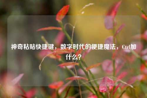 神奇粘贴快捷键,数字时代的便捷魔法,Ctrl加什么?