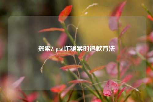 探索Z pad诈骗案的追款方法