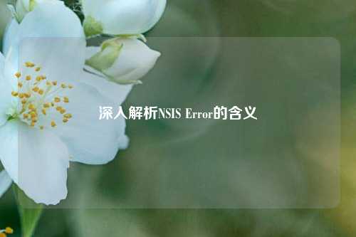 深入解析NSIS Error的含义