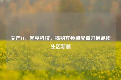 麦芒11，畅享科技，揭秘其参数配置开启品质生活新篇