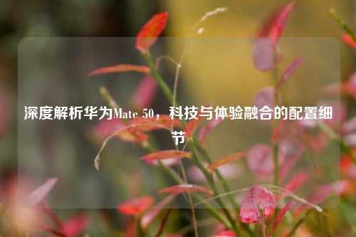 深度解析华为Mate 50，科技与体验融合的配置细节