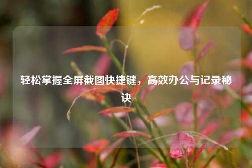 轻松掌握全屏截图快捷键，高效办公与记录秘诀