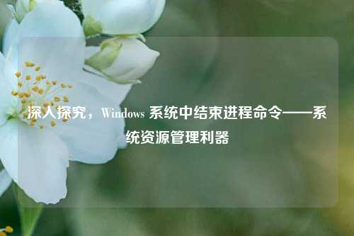 深入探究,Windows 系统中结束进程命令——系统资源管理利器