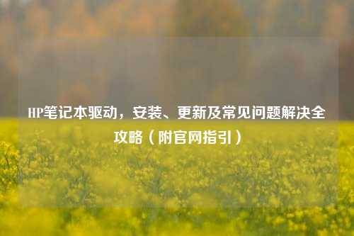 HP笔记本驱动，安装、更新及常见问题解决全攻略（附官网指引）