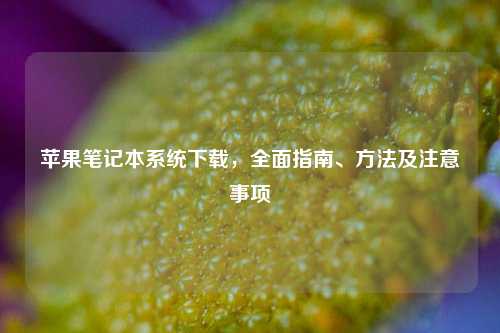 苹果笔记本系统下载,全面指南、方法及注意事项