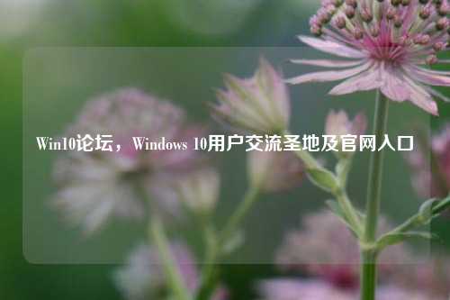 Win10论坛，Windows 10用户交流圣地及官网入口