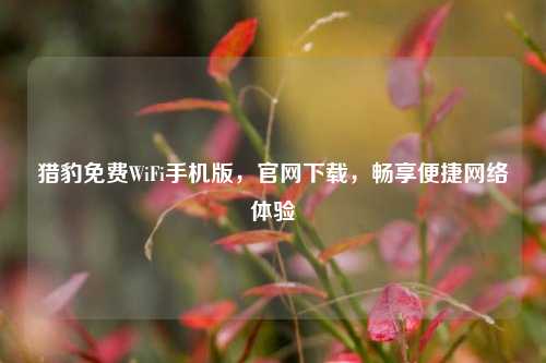 猎豹免费WiFi手机版，官网下载，畅享便捷网络体验