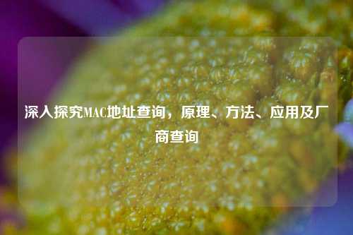 深入探究MAC地址查询,原理、方法、应用及厂商查询