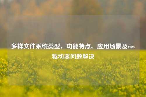 多样文件系统类型,功能特点、应用场景及raw驱动器问题解决
