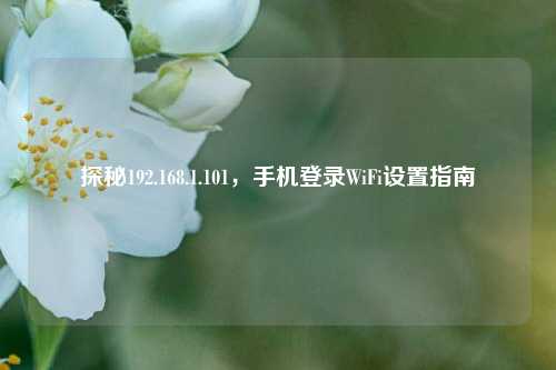 探秘192.168.1.101，手机登录WiFi设置指南