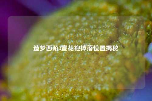 造梦西游3宣花袍掉落位置揭秘