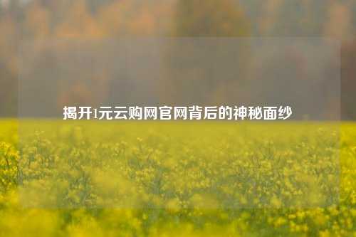 揭开1元云购网官网背后的神秘面纱
