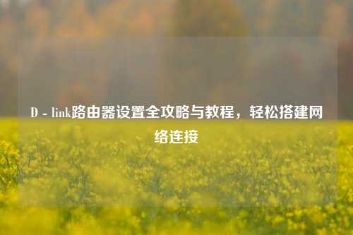 D - link路由器设置全攻略与教程，轻松搭建网络连接