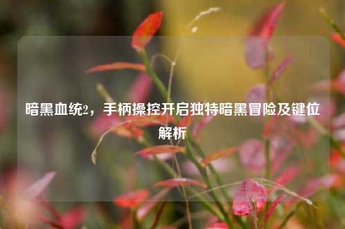 暗黑血统2，手柄操控开启独特暗黑冒险及键位解析