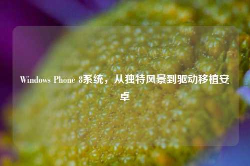 Windows Phone 8系统,从独特风景到驱动移植安卓