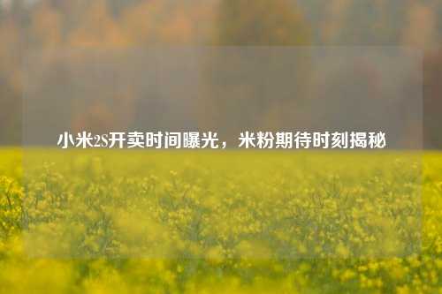 小米2S开卖时间曝光,米粉期待时刻揭秘