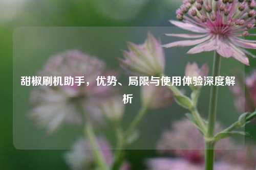 甜椒刷机助手，优势、局限与使用体验深度解析