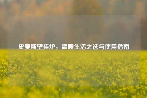 史麦斯壁挂炉，温暖生活之选与使用指南