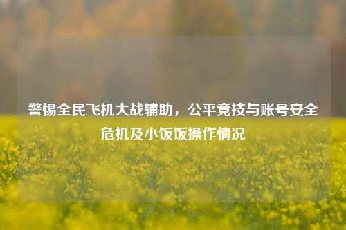 警惕全民飞机大战辅助，公平竞技与账号安全危机及小饭饭操作情况