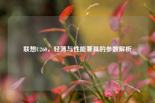 联想U260，轻薄与性能兼具的参数解析