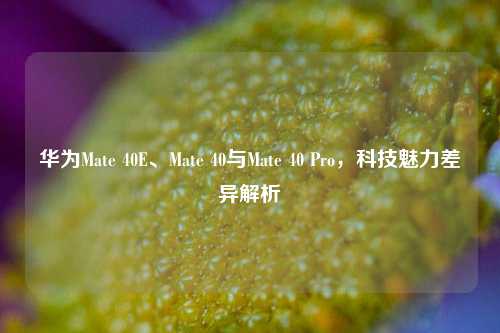 华为Mate 40E、Mate 40与Mate 40 Pro，科技魅力差异解析