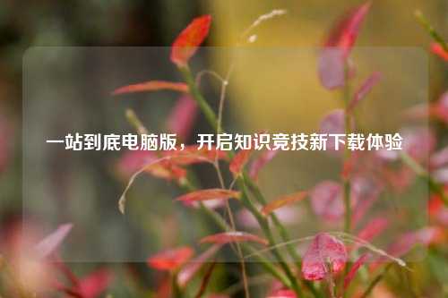 一站到底电脑版,开启知识竞技新下载体验