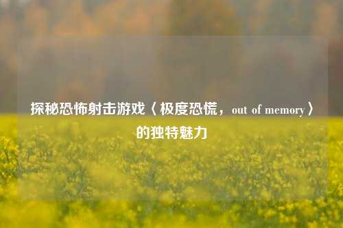 探秘恐怖射击游戏〈极度恐慌，out of memory〉的独特魅力