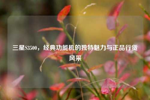 三星S3500，经典功能机的独特魅力与正品行货风采