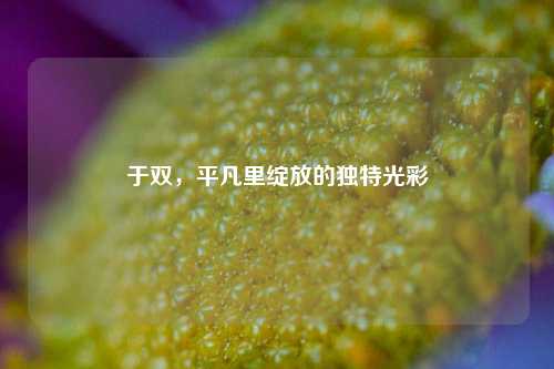 于双,平凡里绽放的独特光彩
