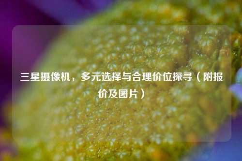 三星摄像机，多元选择与合理价位探寻（附报价及图片）