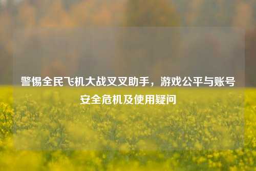 警惕全民飞机大战叉叉助手,游戏公平与账号安全危机及使用疑问