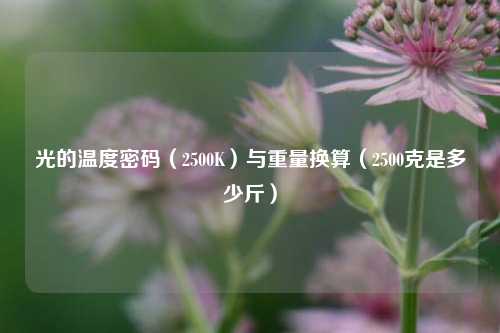光的温度密码（2500K）与重量换算（2500克是多少斤）