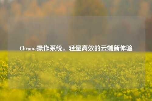 Chrome操作系统，轻量高效的云端新体验
