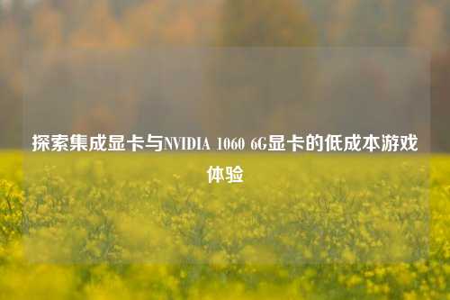 探索集成显卡与NVIDIA 1060 6G显卡的低成本游戏体验
