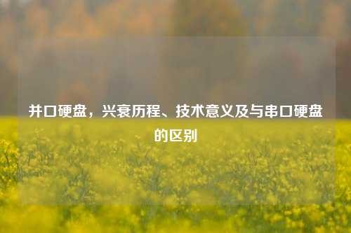 并口硬盘，兴衰历程、技术意义及与串口硬盘的区别