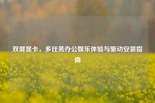 双屏显卡，多任务办公娱乐体验与驱动安装指南
