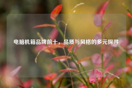 电脑机箱品牌前十，品质与风格的多元探寻