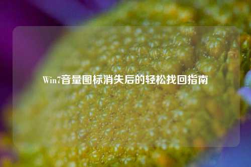 Win7音量图标消失后的轻松找回指南