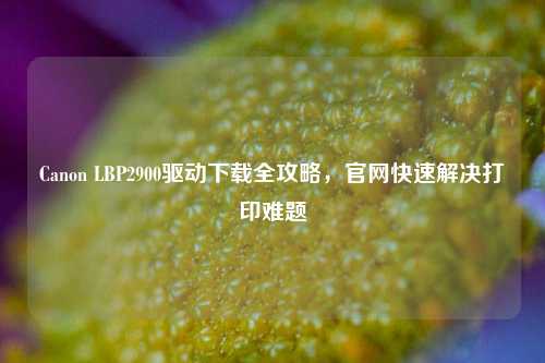 Canon LBP2900驱动下载全攻略，官网快速解决打印难题