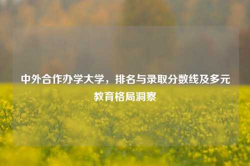 中外合作办学大学，排名与录取分数线及多元教育格局洞察
