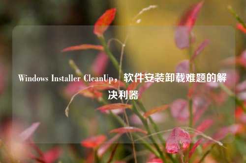 Windows Installer CleanUp，软件安装卸载难题的解决利器