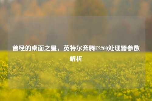 曾经的桌面之星,英特尔奔腾E2200处理器参数解析