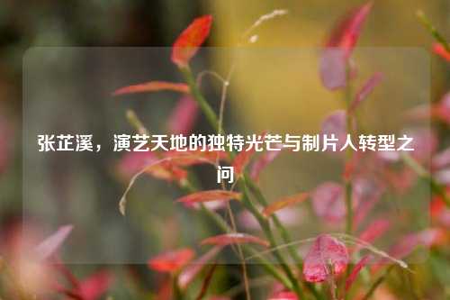 张芷溪，演艺天地的独特光芒与制片人转型之问