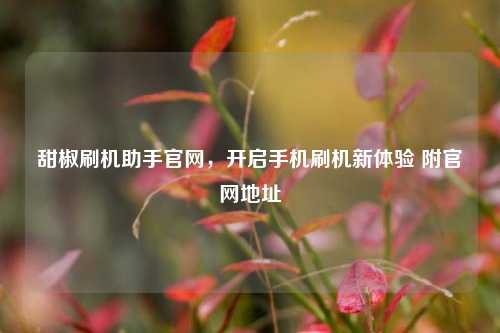 甜椒刷机助手官网，开启手机刷机新体验 附官网地址