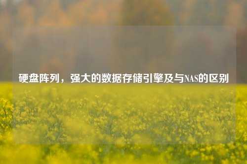 硬盘阵列，强大的数据存储引擎及与NAS的区别